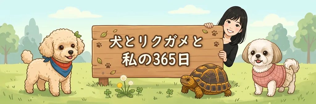 犬とリクガメと私の365日
