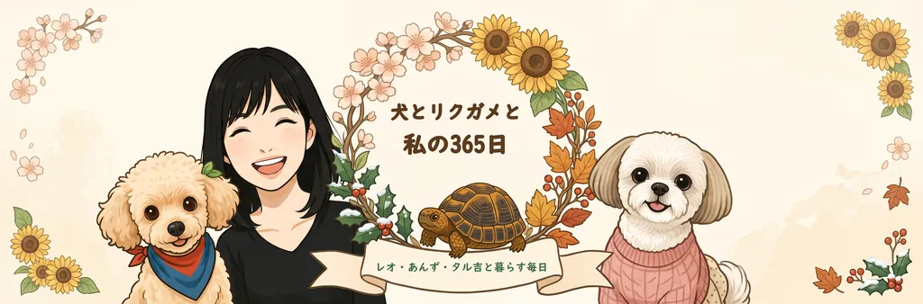 犬とリクガメと私の365日