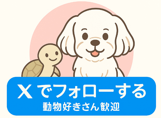Xでフォローする