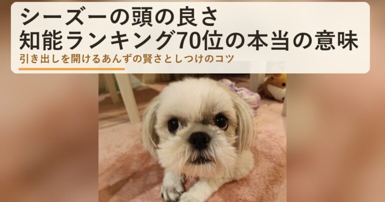 シーズーの頭の良さは？