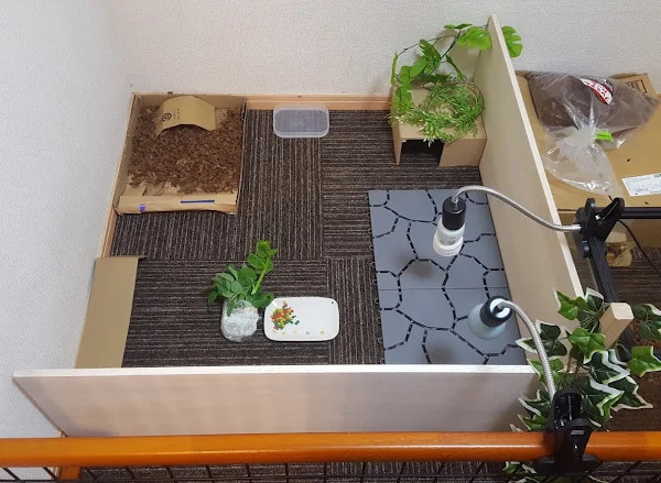 世界を広げるタル吉
