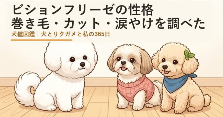 ビションフリーゼ