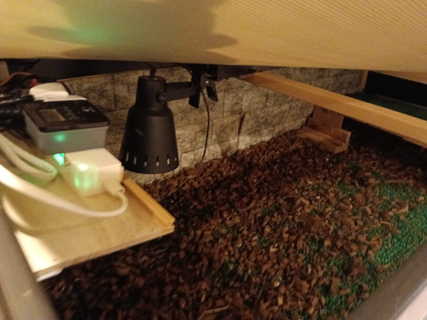 手作りリクガメケージの天井に取り付けた黒いクリップライトと、側板にまとめた電源タップ - バスキングライトとタイマーの配置