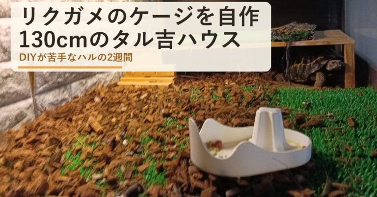 リクガメのケージを自作