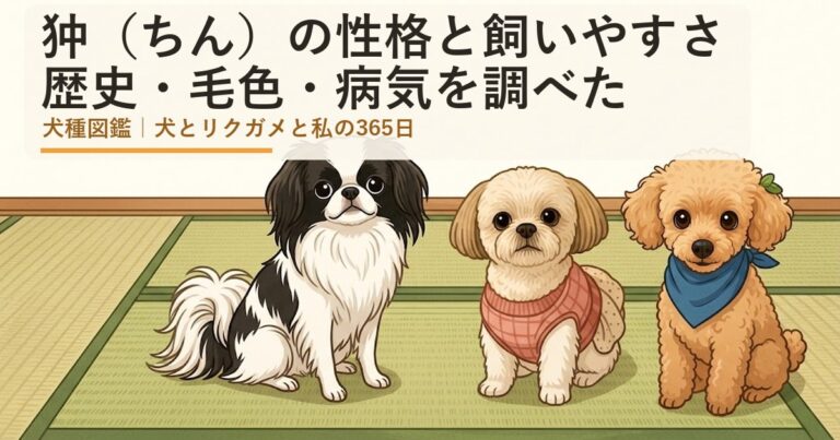 狆（ちん）の性格と飼いやすさは？