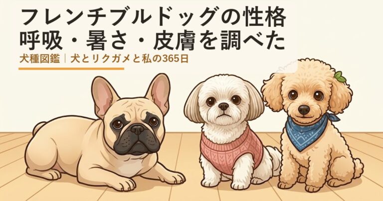 フレンチブルドッグ