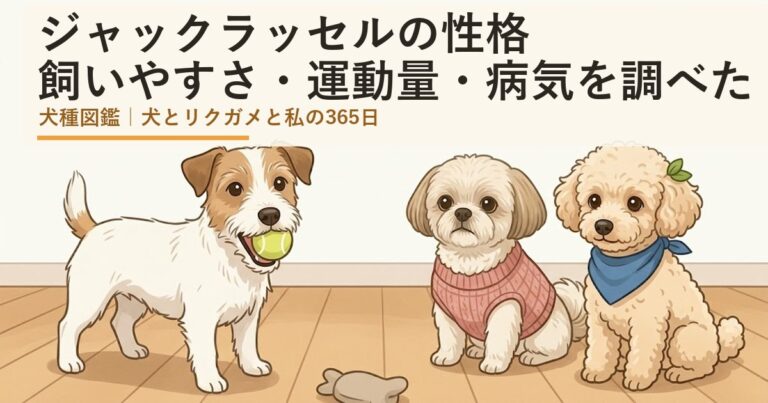 ジャックラッセルテリア