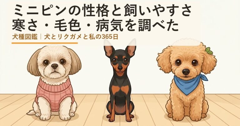 ミニチュアピンシャー