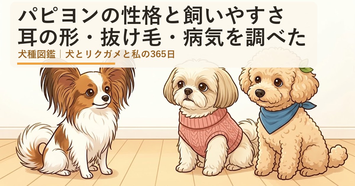 パピヨンとシーズーのあんず、トイプードルのレオが並ぶイラスト（パピヨンの性格と飼いやすさ）