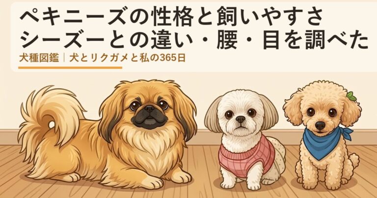 ペキニーズ