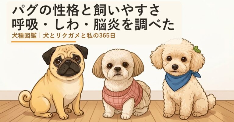 パグの性格と飼いやすさは？
