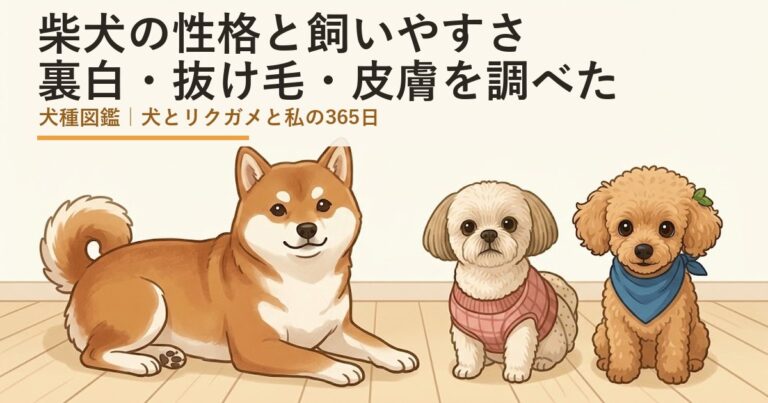 柴犬の性格と飼いやすさは？