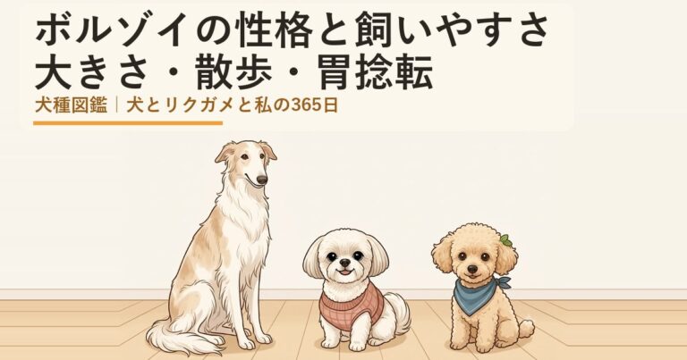 ボルゾイ