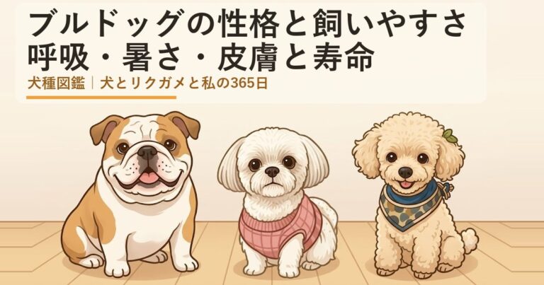 ブルドッグ