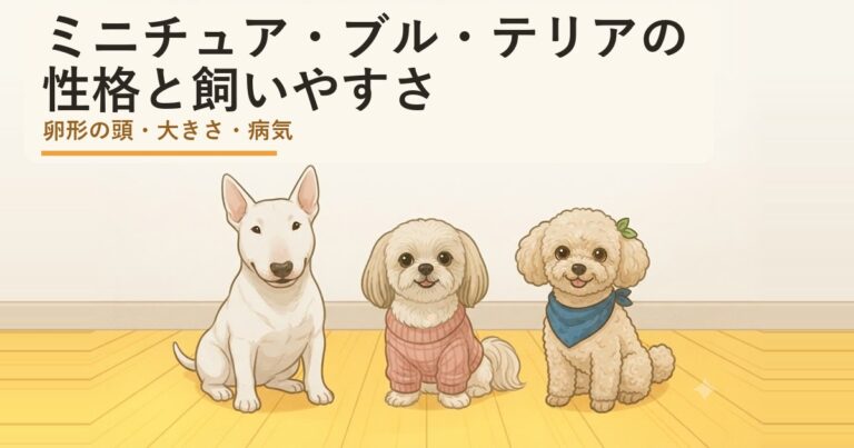 ミニチュアブルテリア