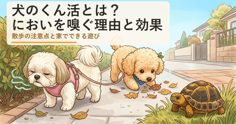 犬のくん活とは？