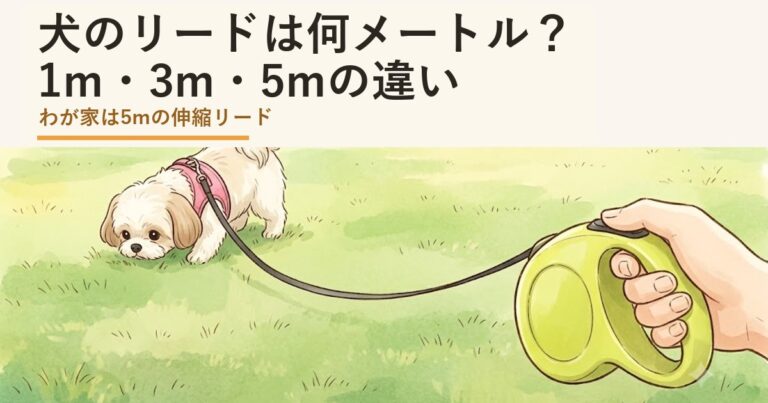 犬のリードは何メートル？