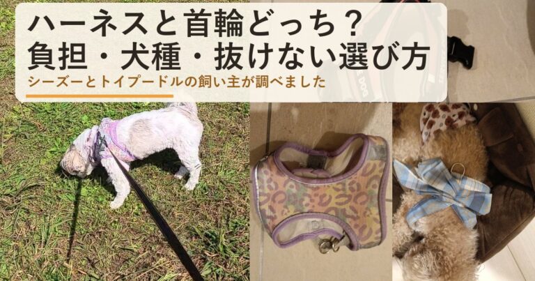 犬のハーネスと首輪どっちがいい？