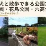 千葉で犬と散歩できる公園3選|八柱霊園・花島公園・六高台の芝生広場