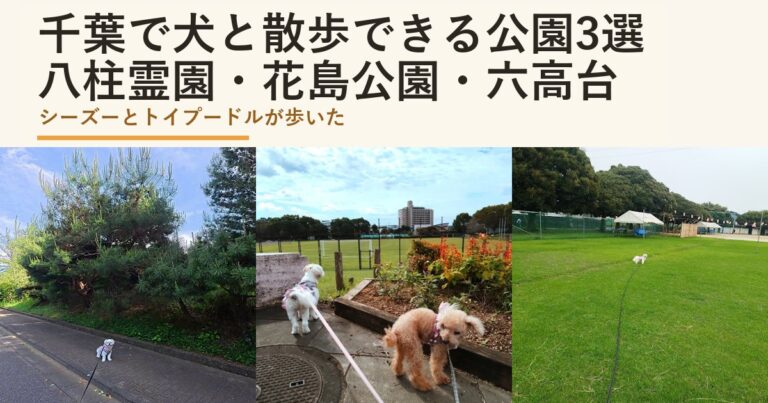 千葉で犬と散歩できる公園3選