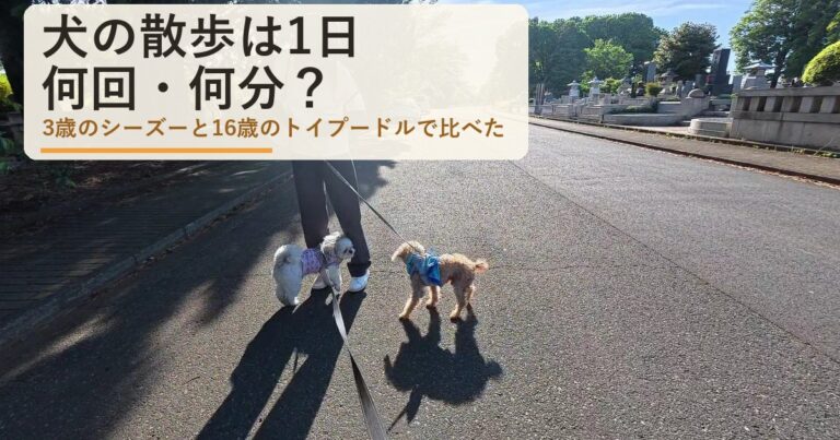 犬の散歩は1日何回・何分？