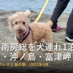 館山・南房総を犬連れ観光1泊2日|トイプードルと大房岬・沖ノ島・富津岬