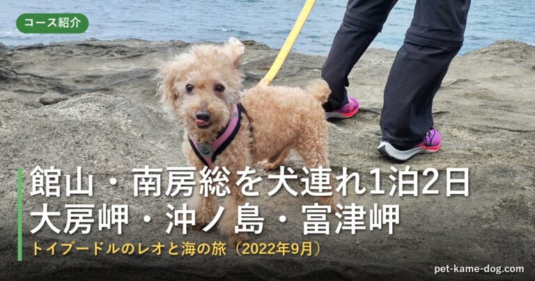 館山・南房総を犬連れ観光1泊2日