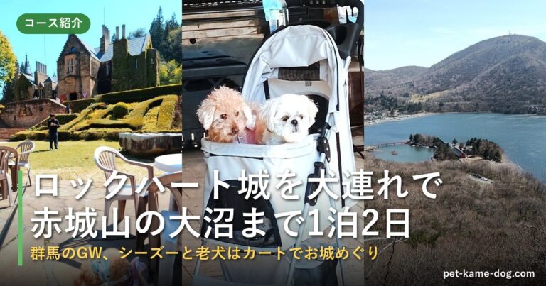 ロックハート城を犬連れで