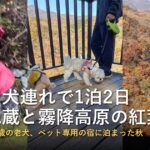 日光を犬連れで1泊2日モデルコース|化け地蔵・霧降の滝・大笹牧場とペット専用の宿