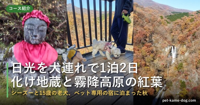 日光を犬連れで1泊2日モデルコース