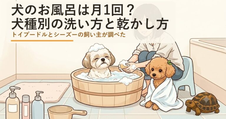 犬のお風呂は月1回で十分？