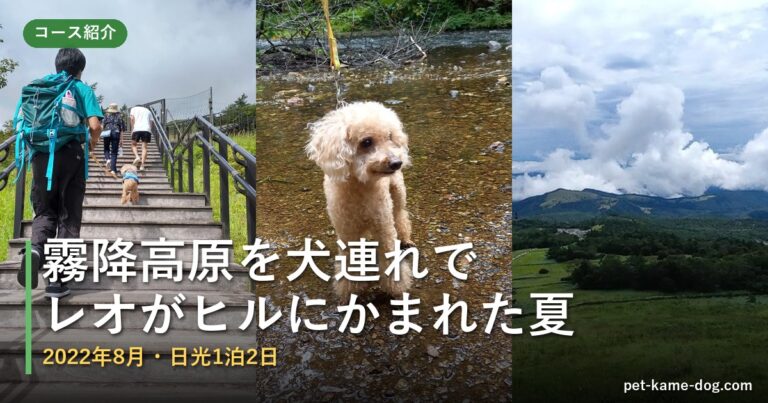 日光・霧降高原を犬連れで