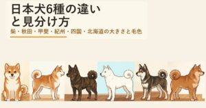 日本犬6種の違いは?柴・秋田・甲斐・紀州・四国・北海道犬を大きさと毛色で比較