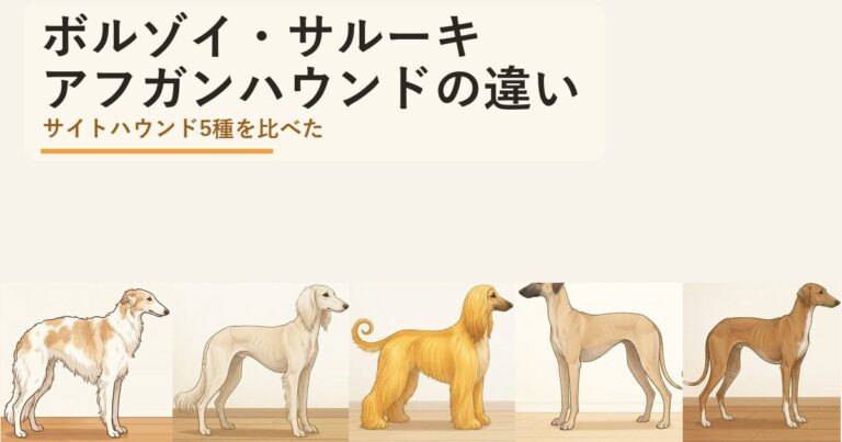 ボルゾイ