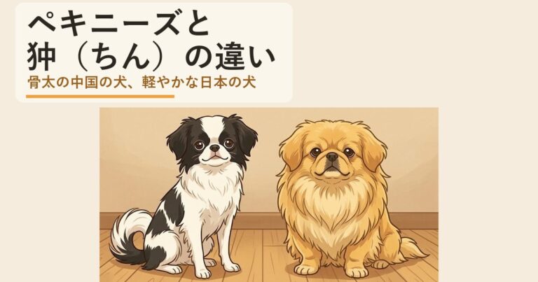 ペキニーズ