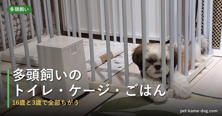 多頭飼いのトイレ・ケージ・ごはんはどう分ける？