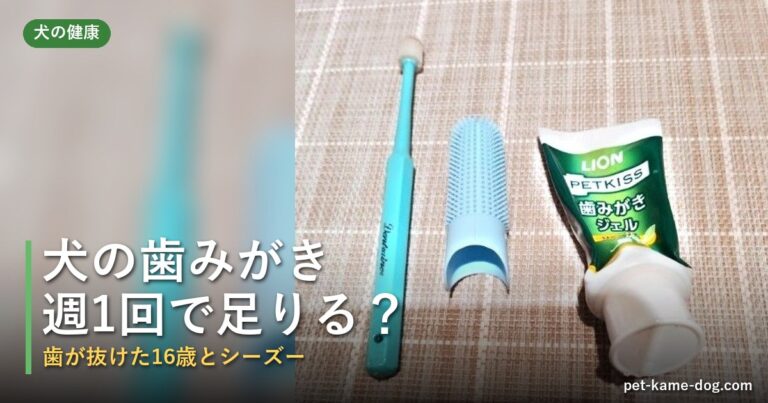 犬の歯みがきは週1回で足りる？