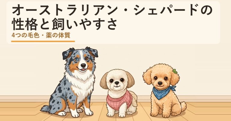 オーストラリアン・シェパード