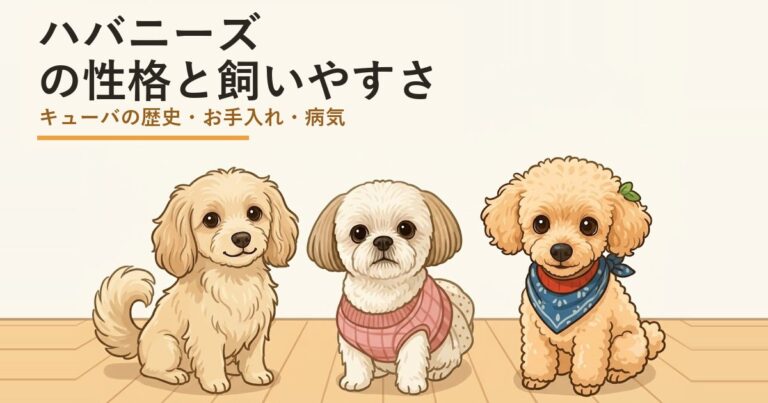 ハバニーズ