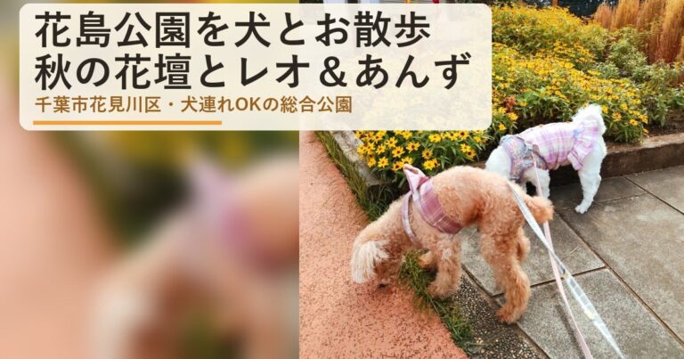 花島公園は犬連れ散歩OK