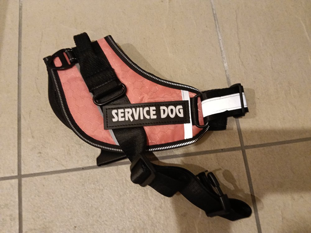 ピンクのベスト型ハーネスを上から見たところ(左右の SERVICE DOG のワッペンとバックル)