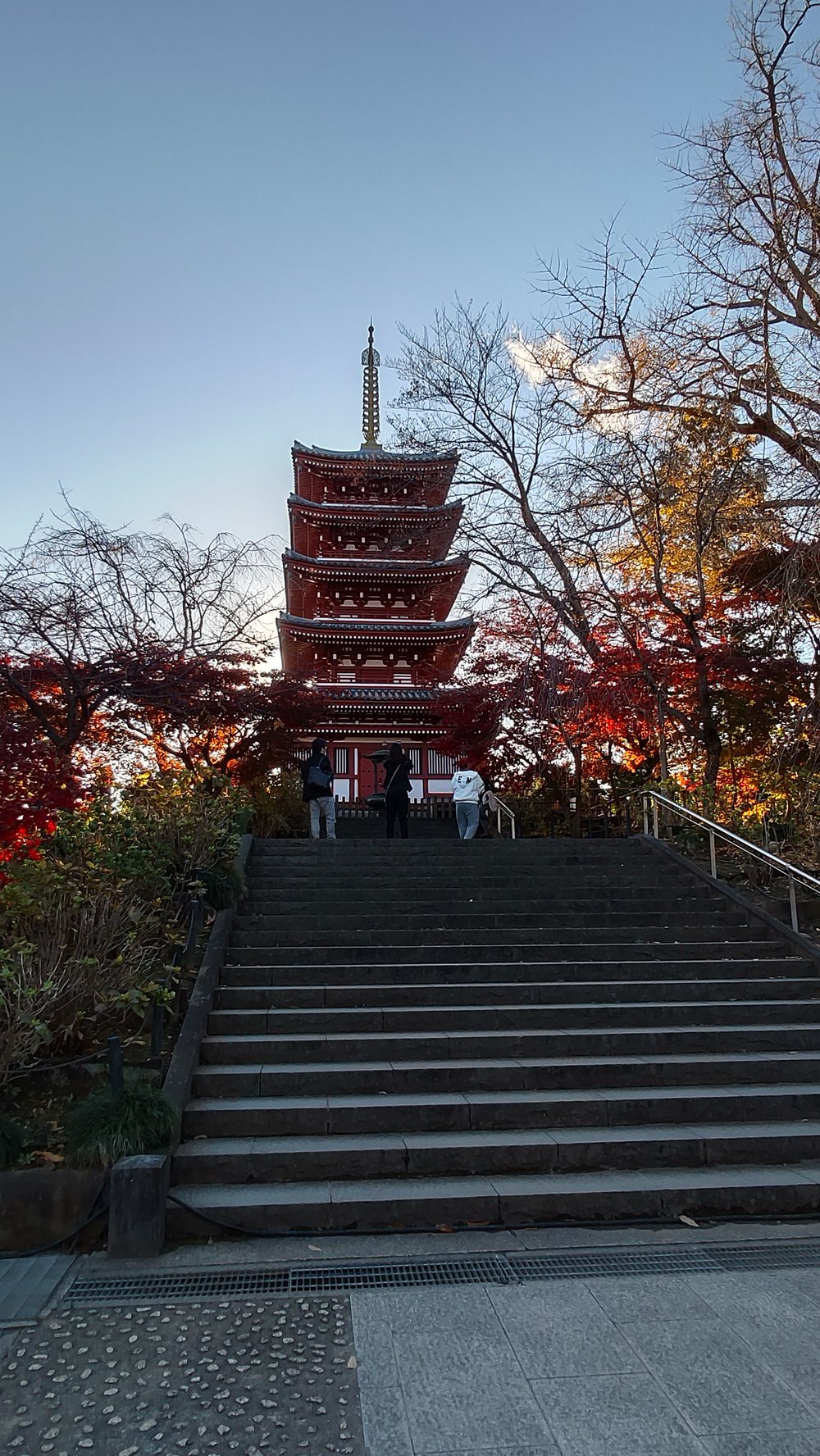 本土寺の五重塔へ続く石段