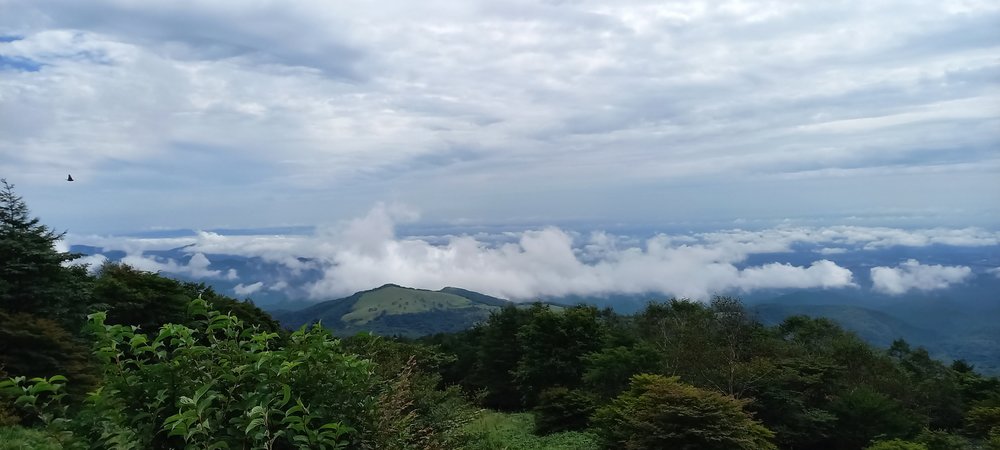霧降高原キスゲ平の天空回廊の上から見た雲海と山なみ(8月)