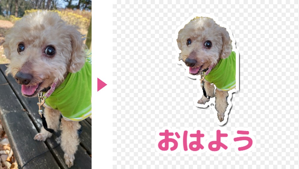 トイプードルのレオの写真をタップして切り抜き、白いフチと「おはよう」の文字をつけたLINEスタンプ