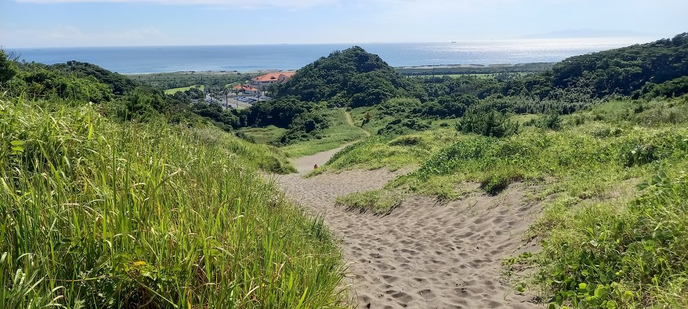 館山砂丘(平砂浦の砂山)へ続く砂の道と遠くの海 - 館山 犬連れ