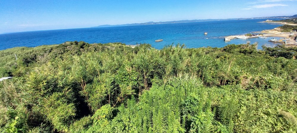 洲埼灯台の近くの高台から見た館山の青い海と緑 - 南房総 犬連れ観光