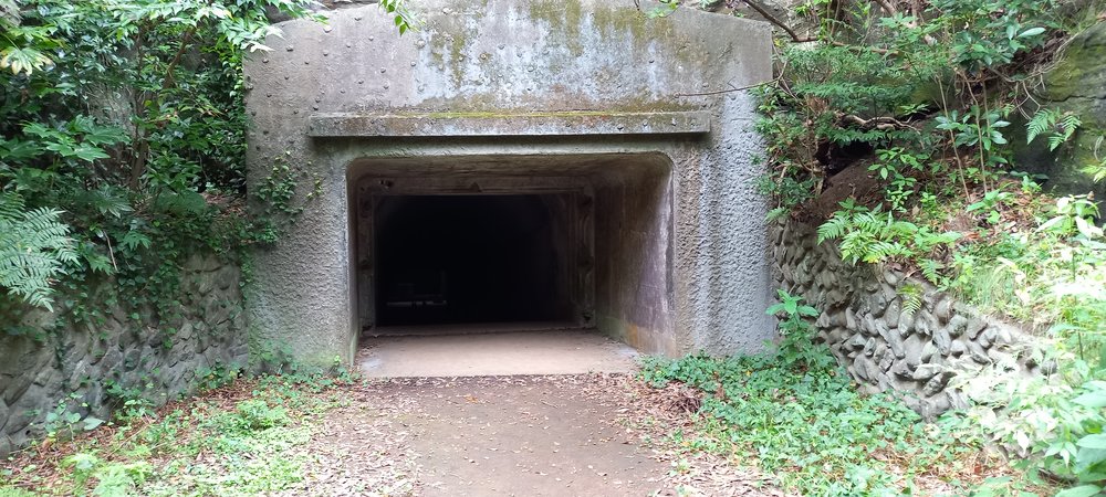 大房岬自然公園の森に残るコンクリートの要塞跡のトンネル - 南房総 犬と散策