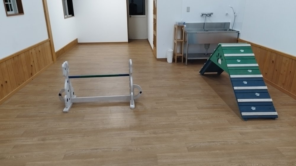 ペット連れ専用の宿アニマーレの屋内ドッグラン ハードルとスロープ - 日光 犬と泊まれる宿